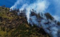 World : Indonesia's Mount Bromo Closed To Tourists As Wildfire Spreads
