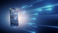 85.8% of Government Services Digitized by End of First Half of 2026