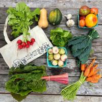Orange County celebrates peak harvest season with farm-to-table dining and farm markets across the region