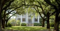 Lowcountry’s historical plantations are places of profound beauty, inescapable discomfort