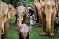 Elephants in your midst: In Boston, an art exhibit tells the story of an Indian herd