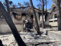 Greeks of New South Wales Standing in Solidarity with Greece during the Wildfires