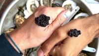 Caviar is everywhere. Here’s where to get it around Baltimore.