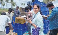 Breaking barriers, AP woman techie thrives in aquaculture