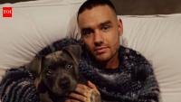 Liam Payne’s final hours revealed in new police documents and photos as fresh details from investigation into singer’s death at at Buenos Aires hotel continues