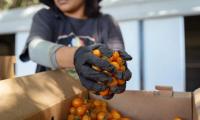 California Expands Lunch Program That Pairs Schools With Farms