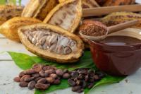 Chocolate bar with a QR code that can prove where every bean came from