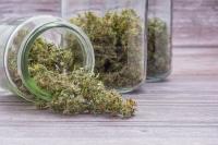 California Tax Agency Seizes $168M in Illicit Cannabis and Tobacco Since 2019