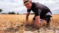 Farmer warns UK drought is 'worst I have ever known' as he makes heartbreaking decision