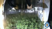 Police discover £5million cannabis farm hidden in Aston industrial unit after power cut