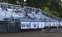 Three Things: Frolic grandstands, wrestling standout and a coffee confession