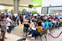 Job creation too slow to absorb influx of workers — analysts