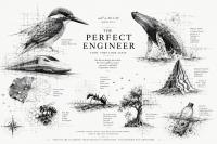The Perfect Engineer