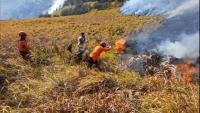 Today's Top 3 News: Mount Bromo Closed to Tourists as Firefighting Efforts Intensify