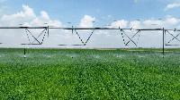 SEWA supplies +1.25bn gal water to Mleiha farms, Sharjah Safari