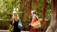 Australian women share horror stories from cosmetic surgeries in Thailand