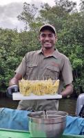 Keep fetes, alcohol out of Bird Sanctuary tours, says Pouchet