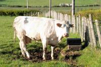 NI Water thanks farmers as work continues behind the scenes to keep water flowing