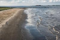 Flesh-Eating Bacteria Louisiana Outbreak: 5 Dead Via Vibrio Vulnificus