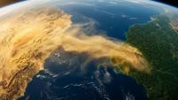 Desert dust vitalizes the Amazon rainforest