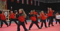 Competitors at Martial Arts Assembly share passion for traditional Chinese martial arts