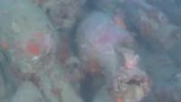 Over 2,000-year-old Roman shipwreck discovered off Sicily