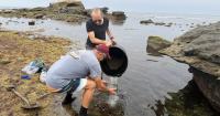 Scientists are building a 'Noah’s ark' of California’s tide pools. It will live here in LA