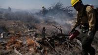 How heat waves fuel Arizona's wildfire risk