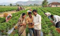 AI Weather Forecasts Save Telangana Small Farmers $560: Report