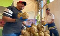 Davao agriculture goes global