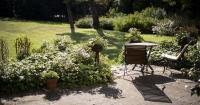 Gardeners urged to plant these 11 plants that can cope with heatwaves
