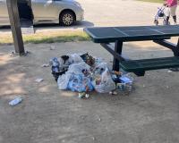 Gaps in amenities at White and Keach parks spark push to address accessibility and waste management