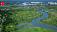 In the 1990s, New York chose wetlands over conventional storm sewers on Staten Island