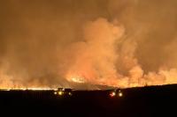 Indonesia urges public to help prevent forest fires amid El Niño