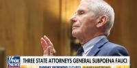 Fauci’s COVID guidance being investigated by Florida, other states