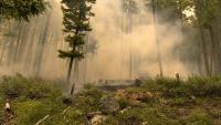 British Columbia declares state of emergency as Bald Range fire spreads