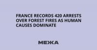 France Records 420 Arrests Over Forest Fires as Human Causes Dominate