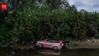 In 1986, a California city began polishing sewage through constructed marshes; the 307-acre system is now a wildlife sanctuary that has hosted over 300 bird species