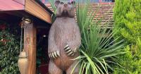 Crazy Bear to host bank holiday family fun day