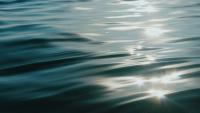 Missing Maine woman found dead in Biscay Pond