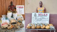 Ndlea Intercepts 442 Packets Of Cookies, Gummies Infused With Cannabis In Lagos