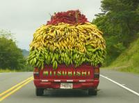 Despite a Complex International Scenario Panamanian Exports Exceed $534 Million in Six Months