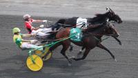 Harness racing: Why New Zealand’s hero reinsman won’t drive here – Mick On Monday