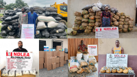 Faces of alleged local, international drug lords busted by NDLEA