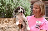 Humane Society of Sedona Celebrates 60 Years of Saving Lives with Community Open House