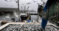 Opinion: Alaska is sounding the alarm for fisheries in the United States