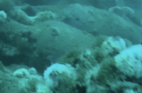 Divers find 2,100-year-old Roman shipwreck off coast of Sicily