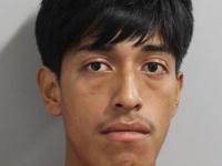 Man Arrested in Central Florida for Attack on Pregnant Woman, Toddler
