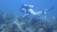 Could Seawater Provide Early Indicators of Reef Health?