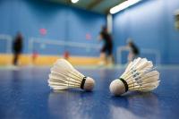 Filipina shuttlers show heart, bag silver